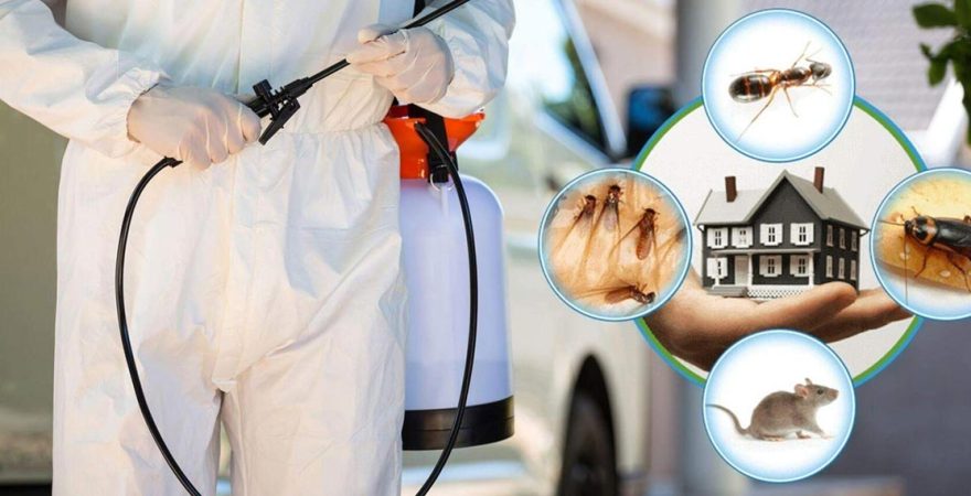 Basınsitesi Böcek İlaçlama