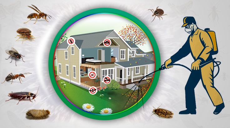 Basınsitesi Böcek İlaçlama