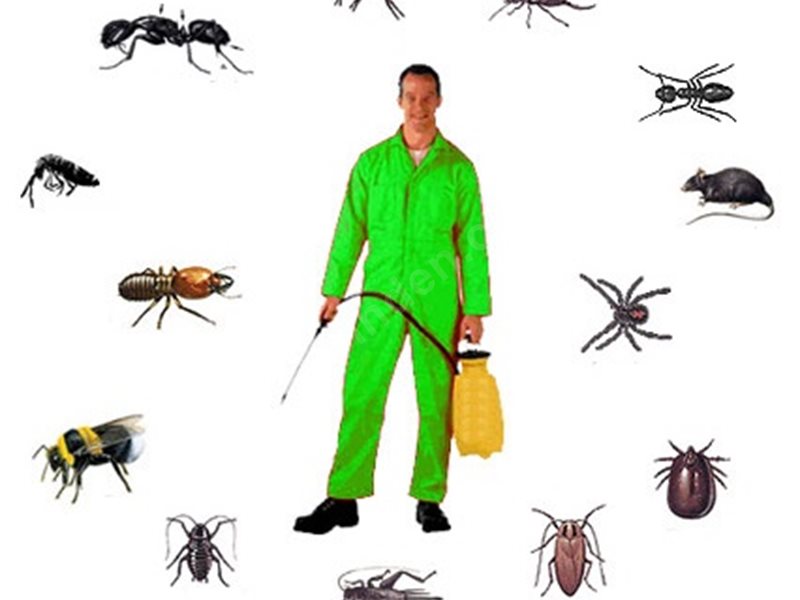 Basınsitesi Böcek İlaçlama